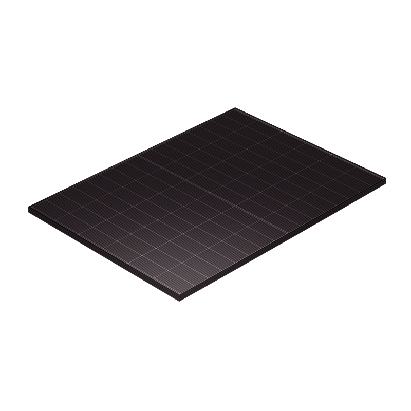 SPDGxxx-N96R12 (445–460 W), schwarzer Rahmen, schwarzes Netz